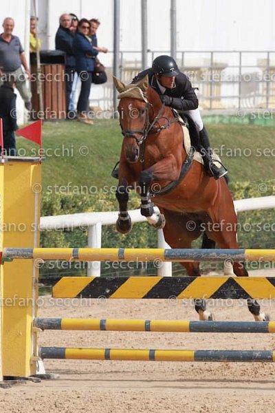 PAFFETTI_SHANGRI LA_GIO CAV 2011_SS3_8541.jpg